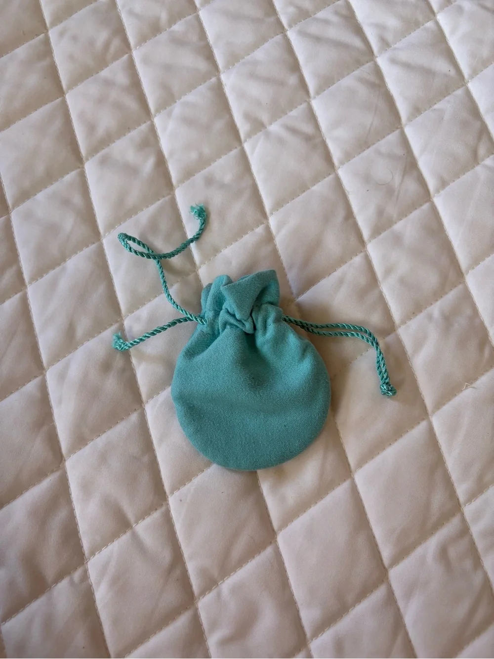 Tiffany & Co. Signature Drawstring Pouch - Picture 2 of 2